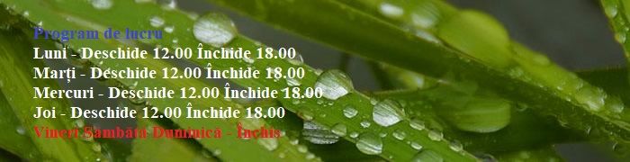 Contacte